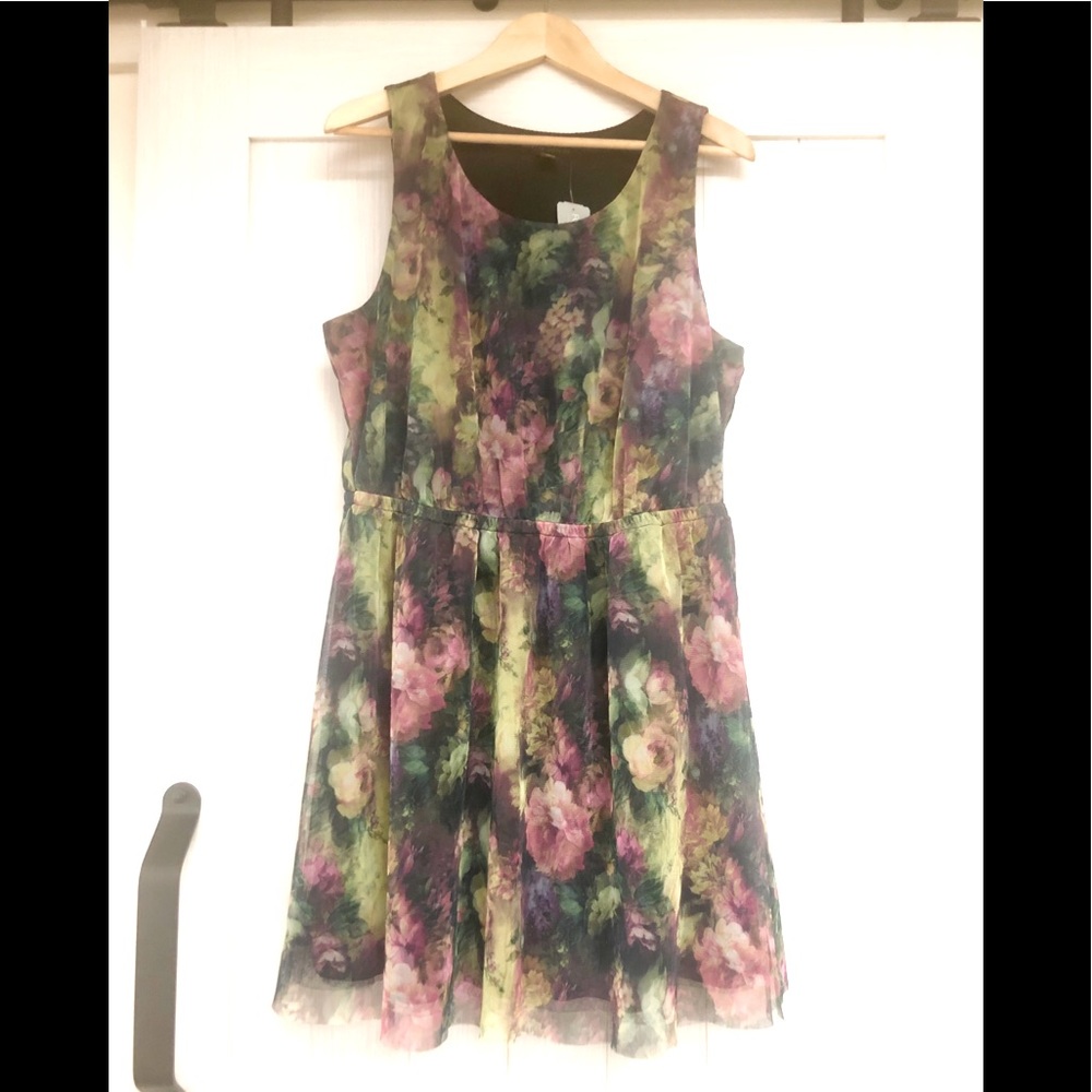 Claude Monet Floral lined Tulle 1x Plus Size Dress
